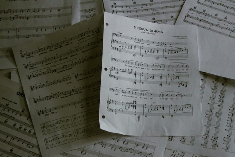 Partition Le Dénicheur : musique musette de collection